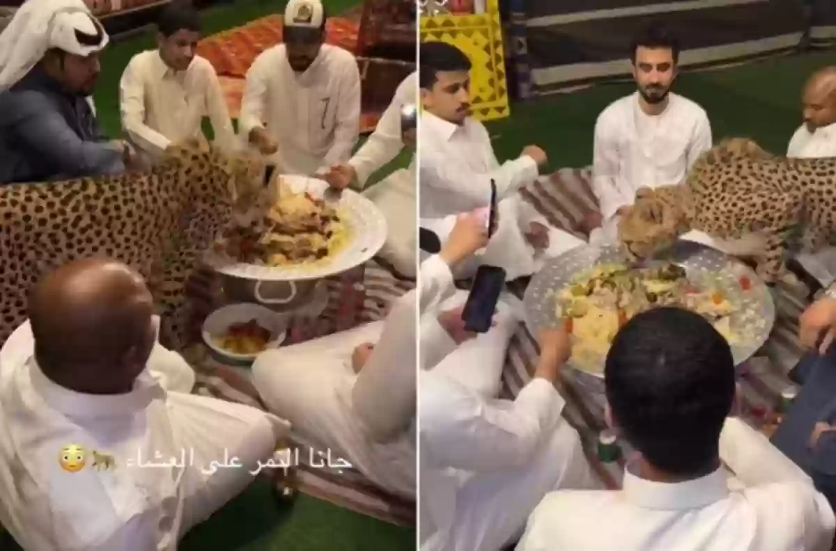 مشاركة حيوان الفهد الشباب وجبة العشاء