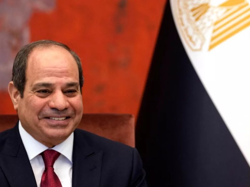 السيسي يستقبل رئيس الصومال لبحث قضايا القرن الأفريقي والعلاقات الثنائية